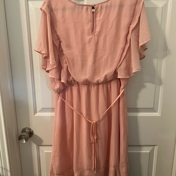 Gilli Blush/Light Pink Dress - Picture 4 of 5